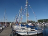 zlot_albin_vega_ifr2014_przy_pomoscie_7