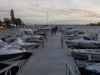 DSCN6033