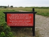falsterbo_uwaga_na_nisko_przelatujace_pilki_golfowe